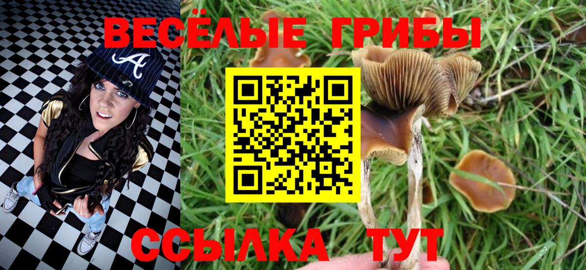 Псилоцибиновые грибы MAGIC MUSHROOMS  Вход с VPN  Псилоцибиновые грибы MAGIC MUSHROOMS  Лесной 